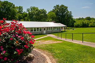 Shelter House Exterior